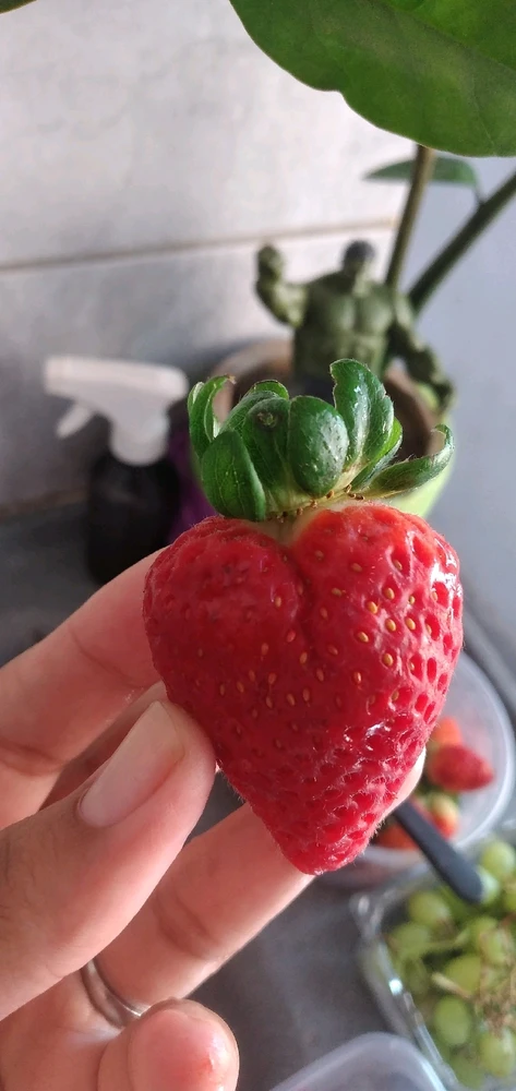 Imagem enviada por Thayna