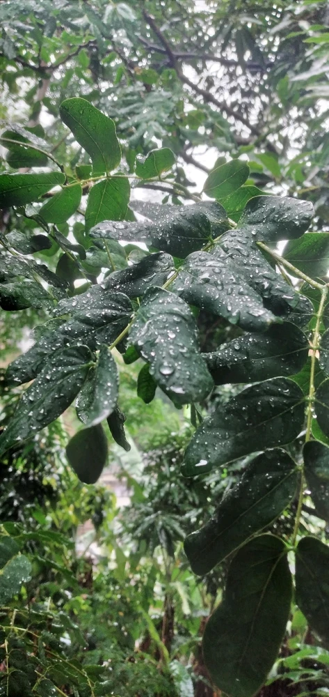 Imagem enviada por Thayna