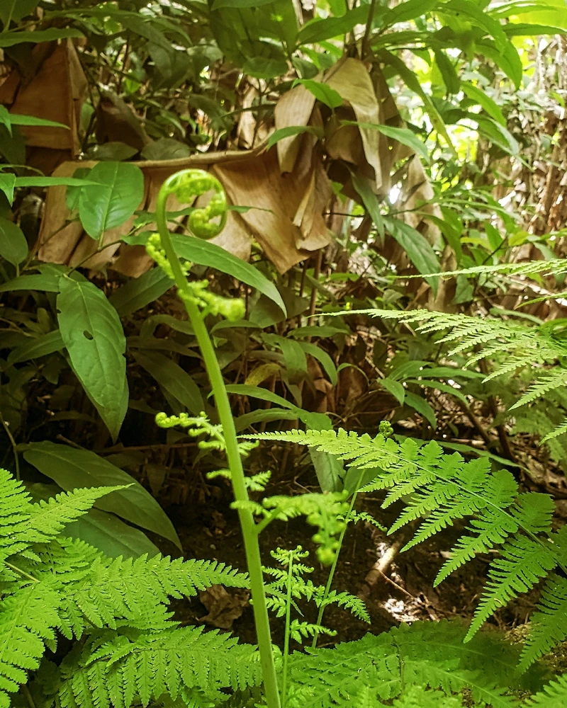 Imagem enviada por Thayna