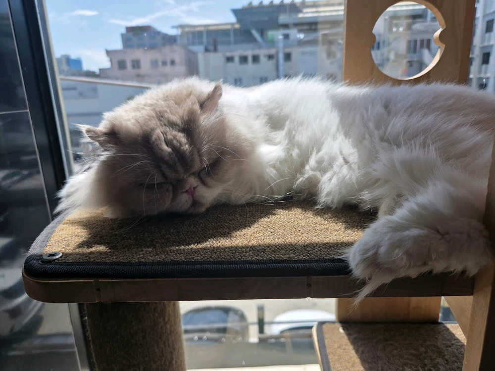 Hyun님이 올린 사진