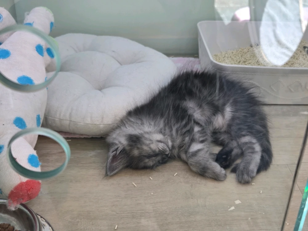 Hyun님이 올린 사진