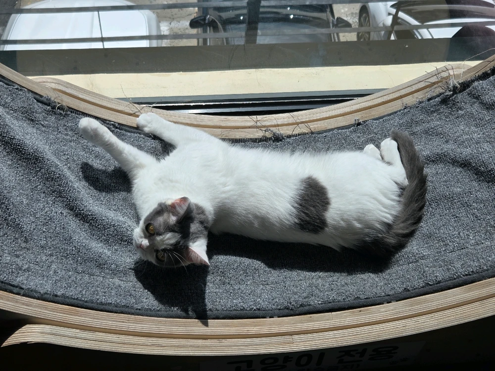 Hyun님이 올린 사진