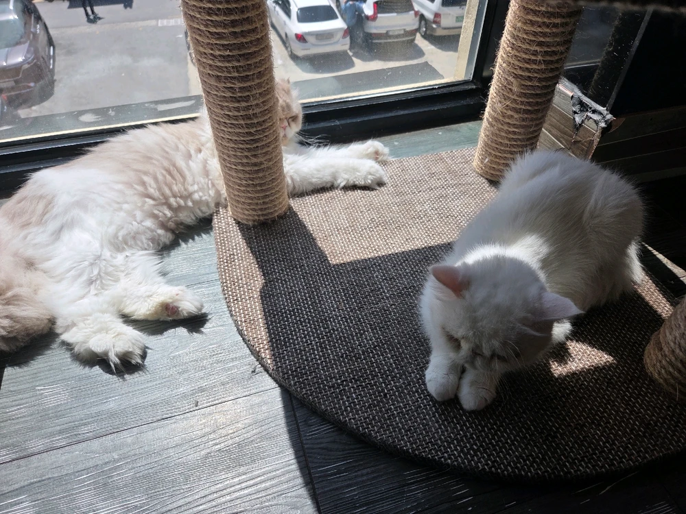 Hyun님이 올린 사진