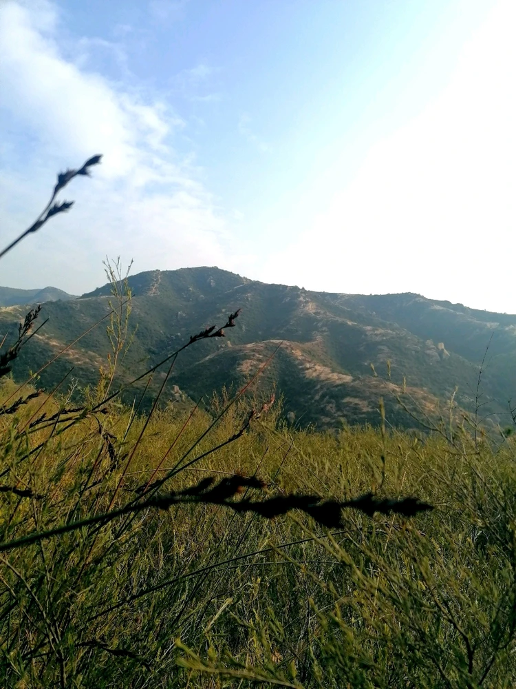 Image uploaded by Joy