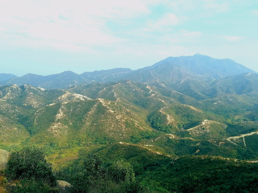 Image uploaded by Joy