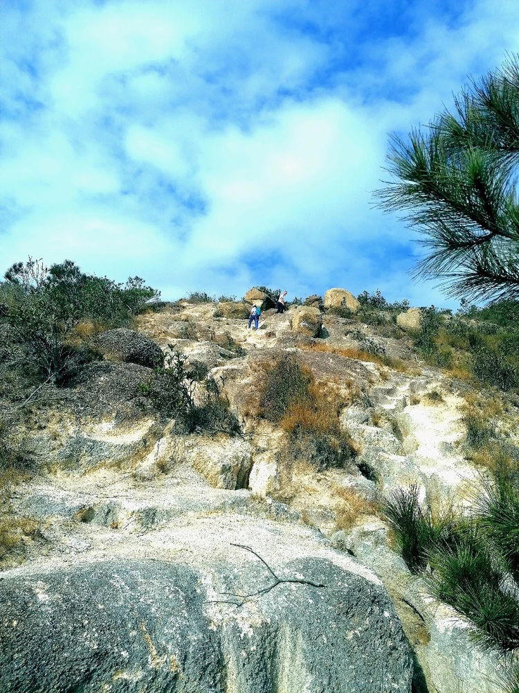 Image uploaded by Joy