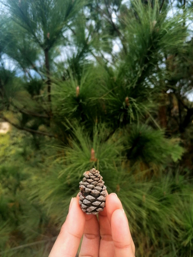 Image uploaded by Joy