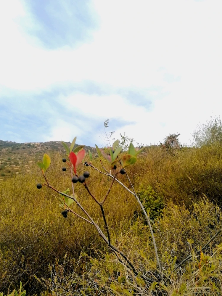 Image uploaded by Joy