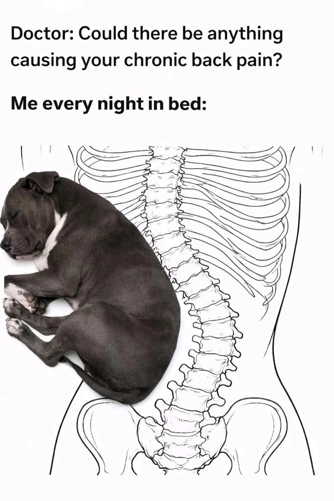 GIF uploaded by γπΉ.::LenΓΆrΓ©::.πΉγ