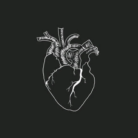 GIF uploaded by George