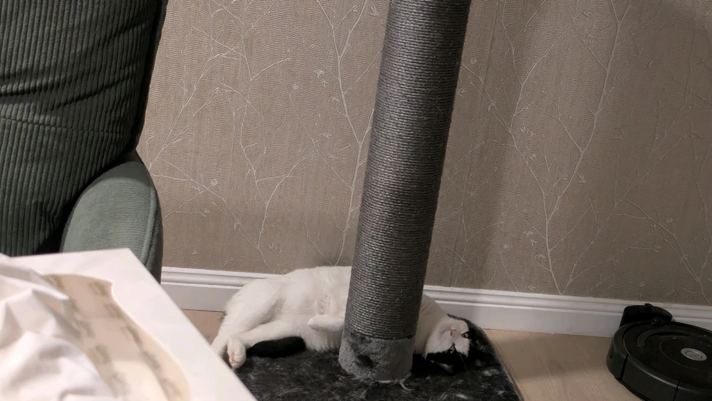 Image uploaded by Sarah