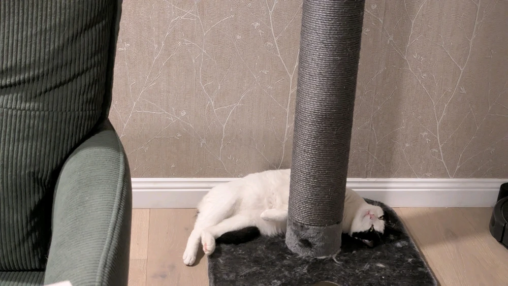 Image uploaded by Sarah