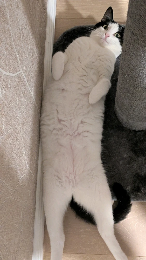 Image uploaded by Sarah