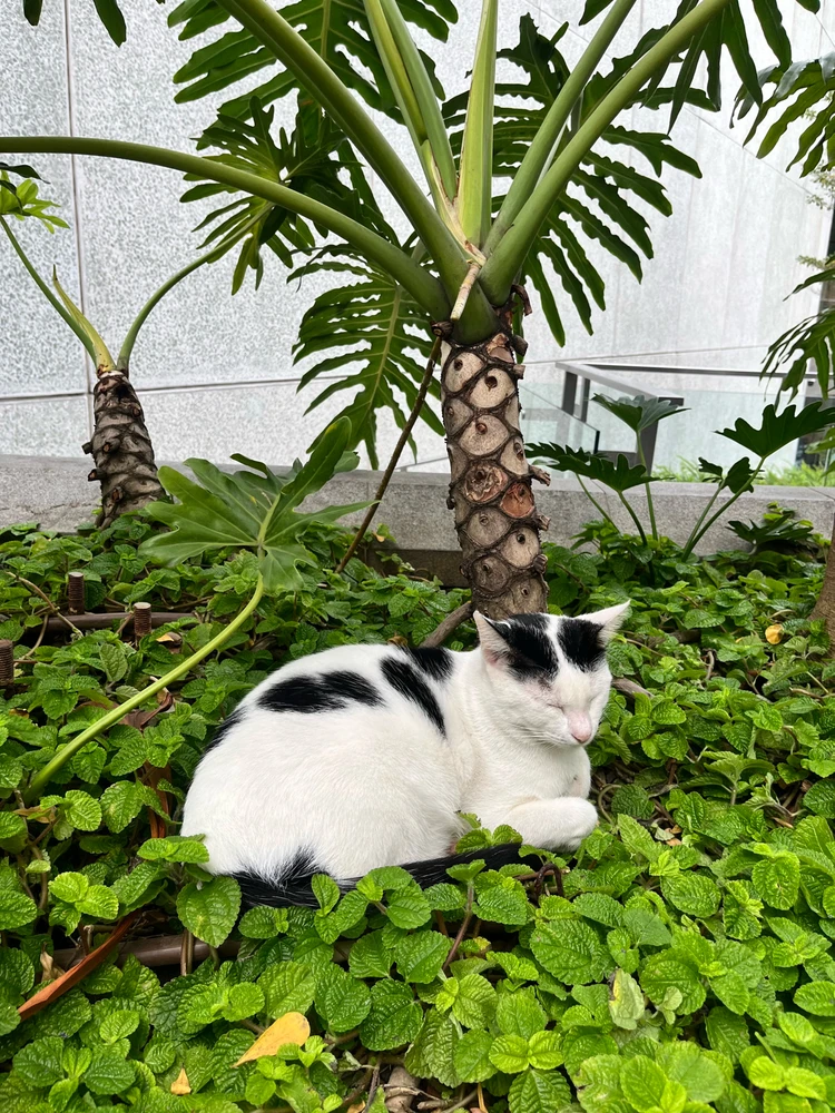 Image uploaded by Amor