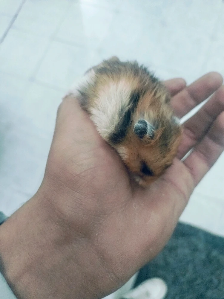 Image uploaded by Ислам