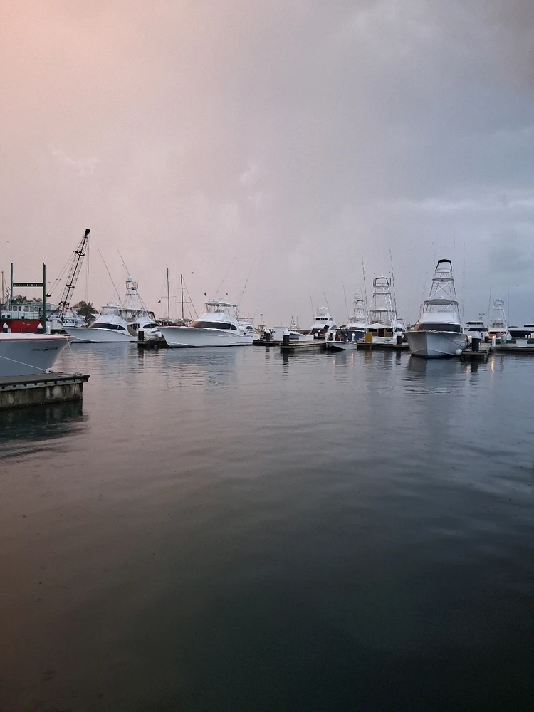 Image uploaded by Josh