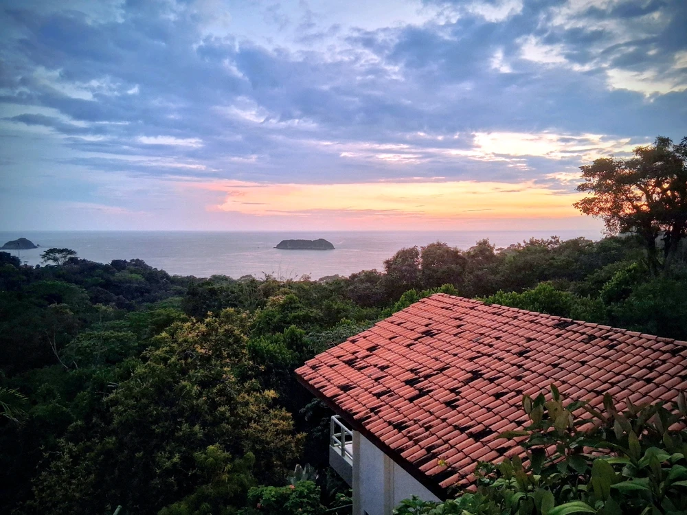 Image uploaded by Josh