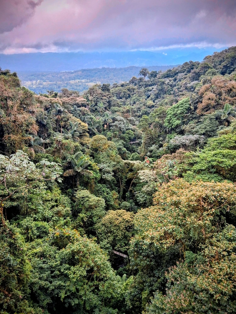 Image uploaded by Josh