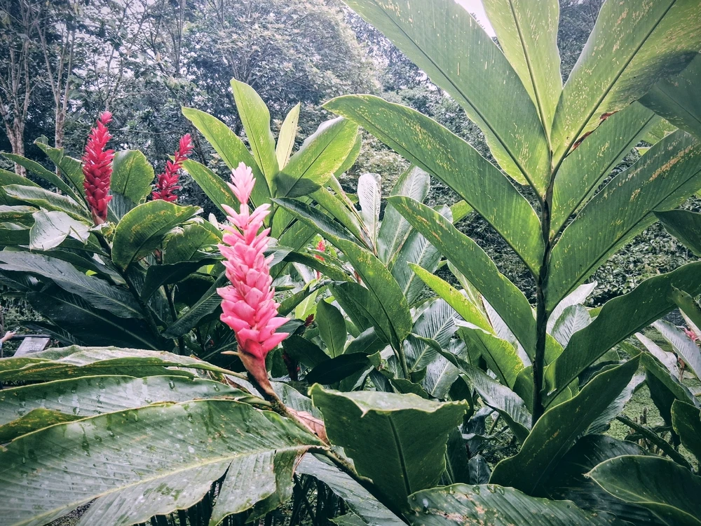 Image uploaded by Josh