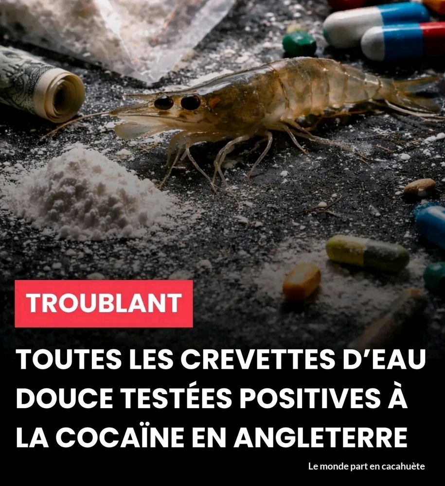 GIF ajouté par Loïc