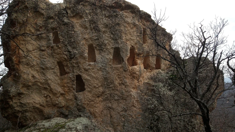 Image uploaded by Kristian