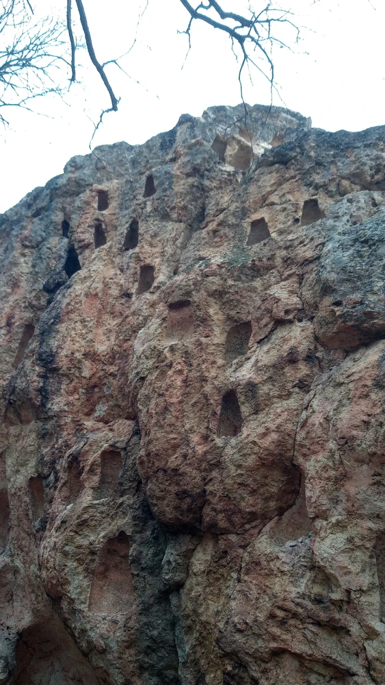 Image uploaded by Kristian