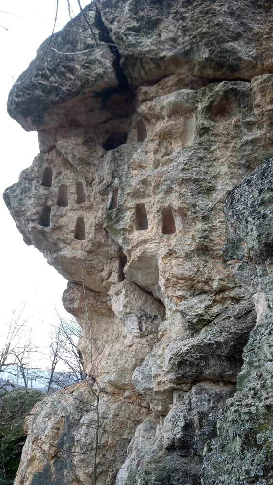 Image uploaded by Kristian