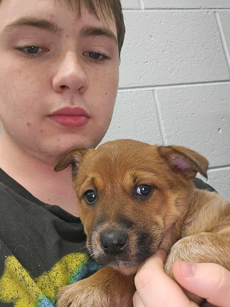 GIF uploaded by Vincent