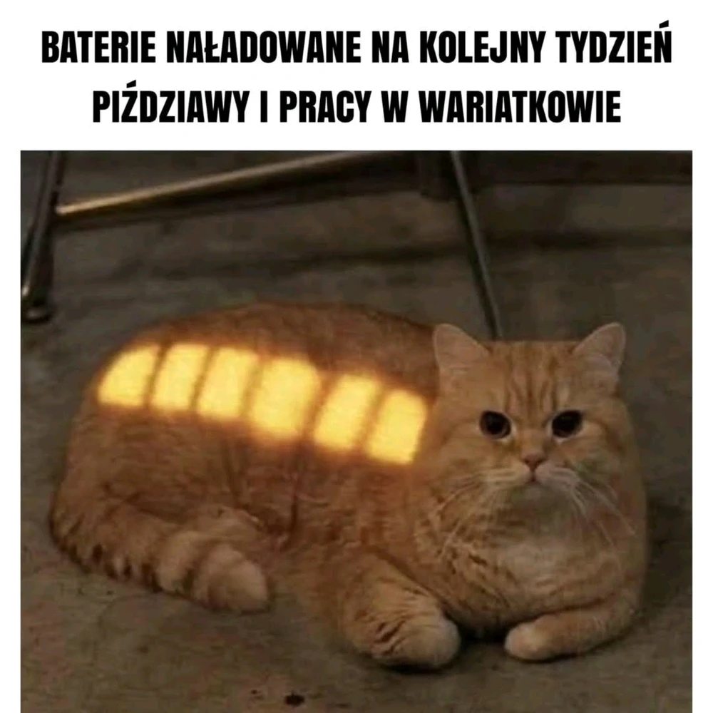 GIF dodany przez Michał