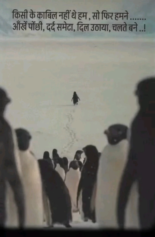 GIF uploaded by Sumi Shubham