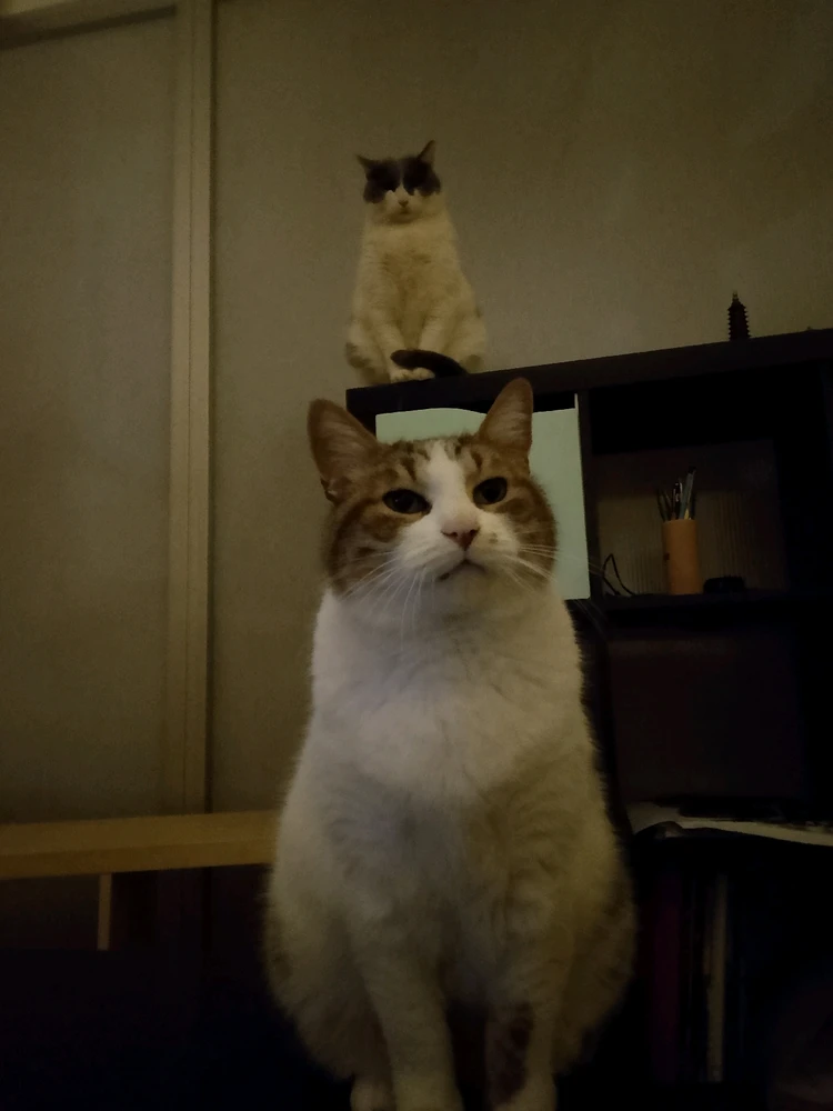 GIF uploaded by Mr Nice