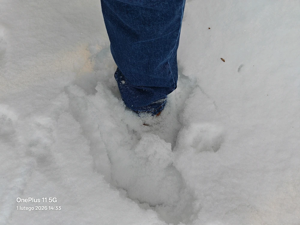 Zdjęcie dodane przez Adam