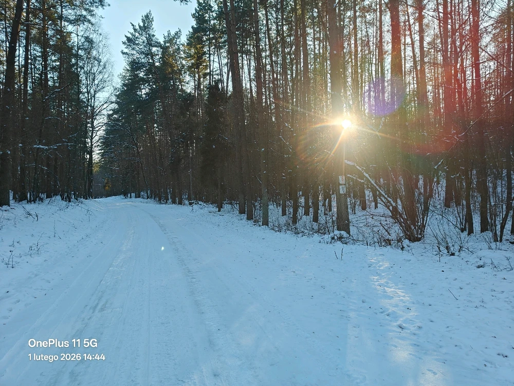 Zdjęcie dodane przez Adam