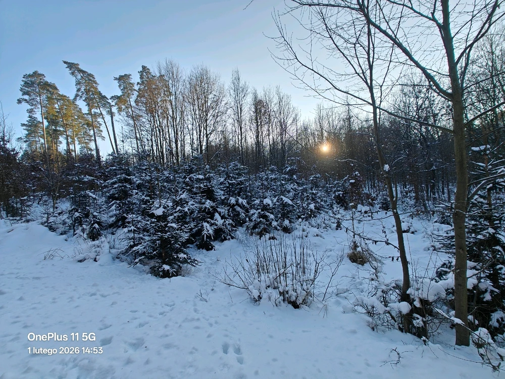 Zdjęcie dodane przez Adam