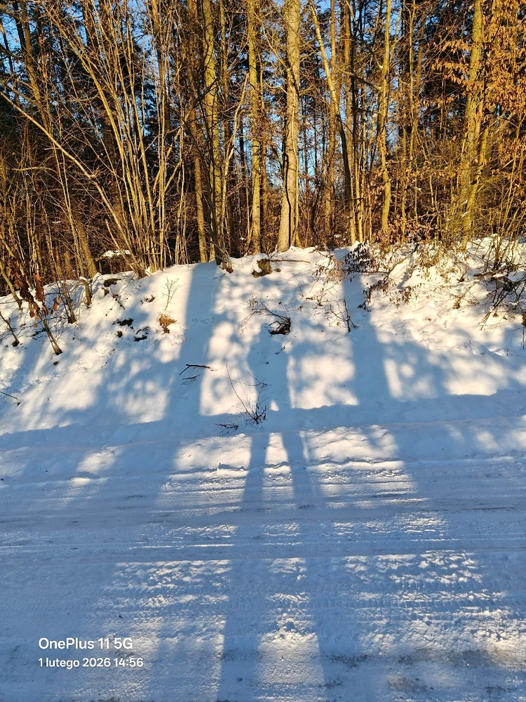 Zdjęcie dodane przez Adam