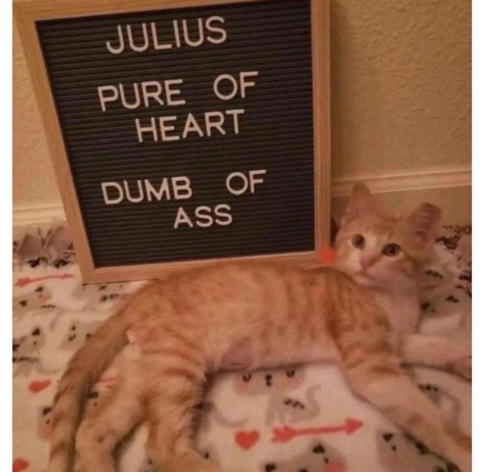 GIF uploaded by Andrei