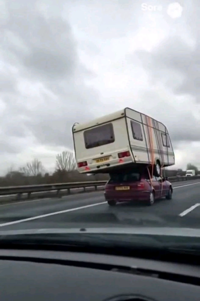 GIF caricata da ꪑꪖ᥅ᥴꪮ🦉