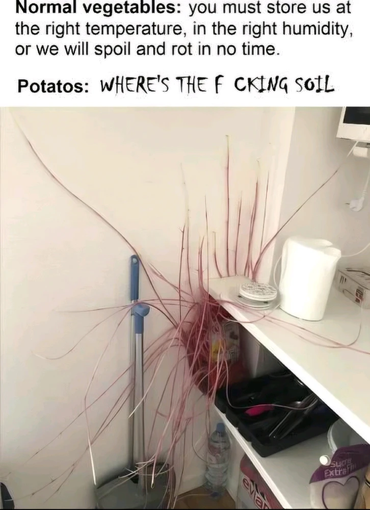 GIF uploaded by Anthony