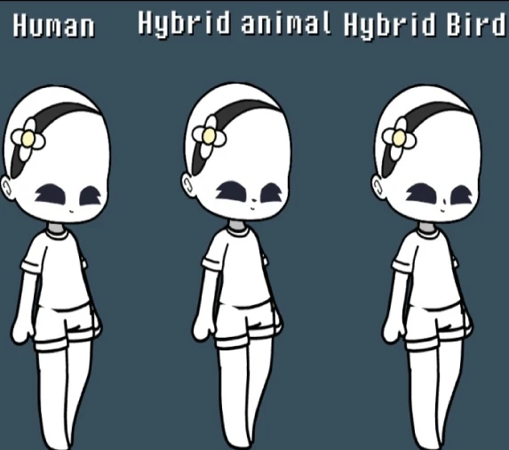 Image uploaded by Kimi