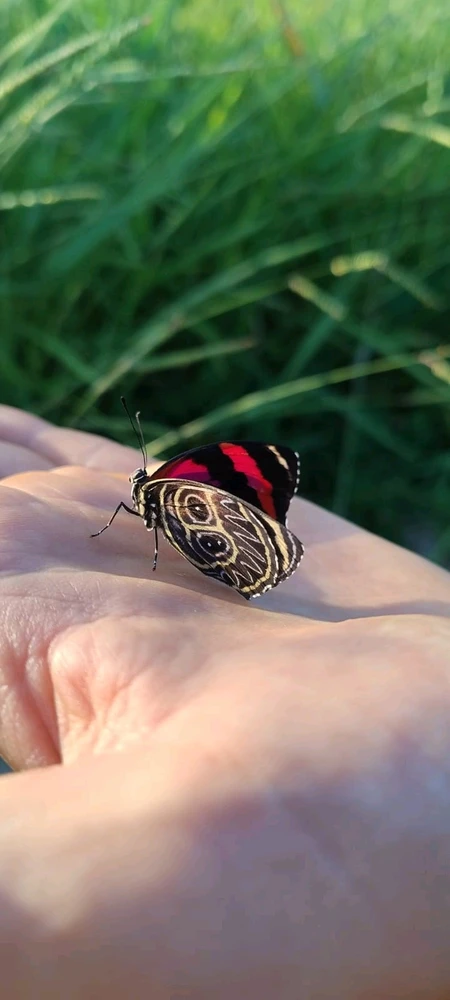 GIF uploaded by André Rodrigues