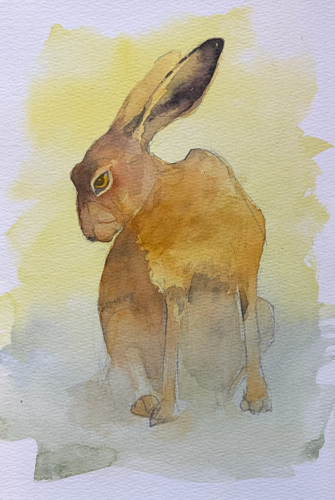 GIF uploaded by stefan