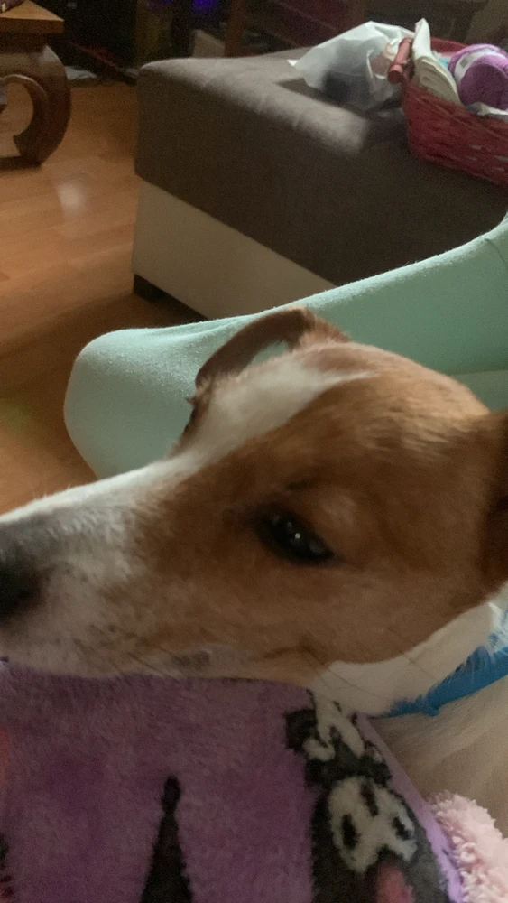 GIF caricata da Lance