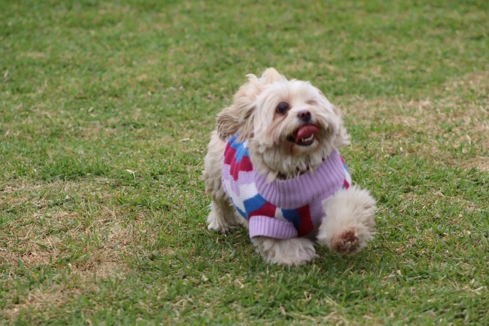 GIF subido por Alberto