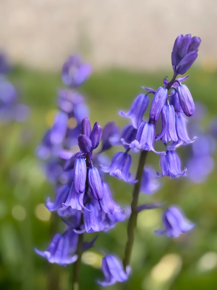 Image uploaded by Leon