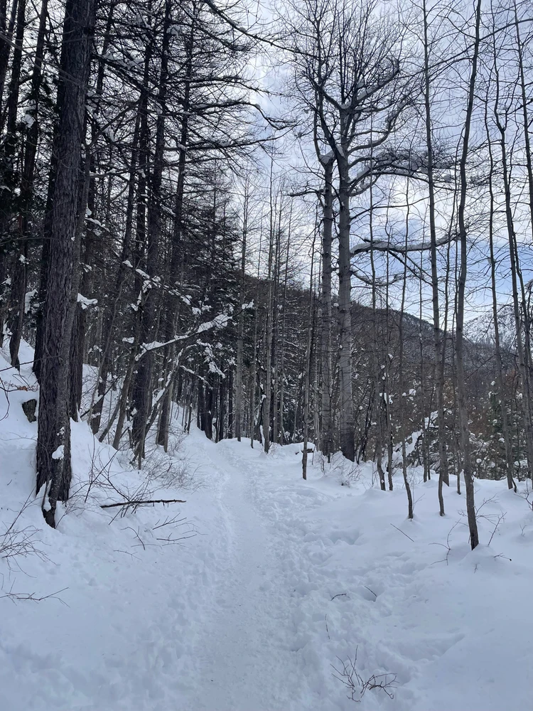 GIF ajouté par David