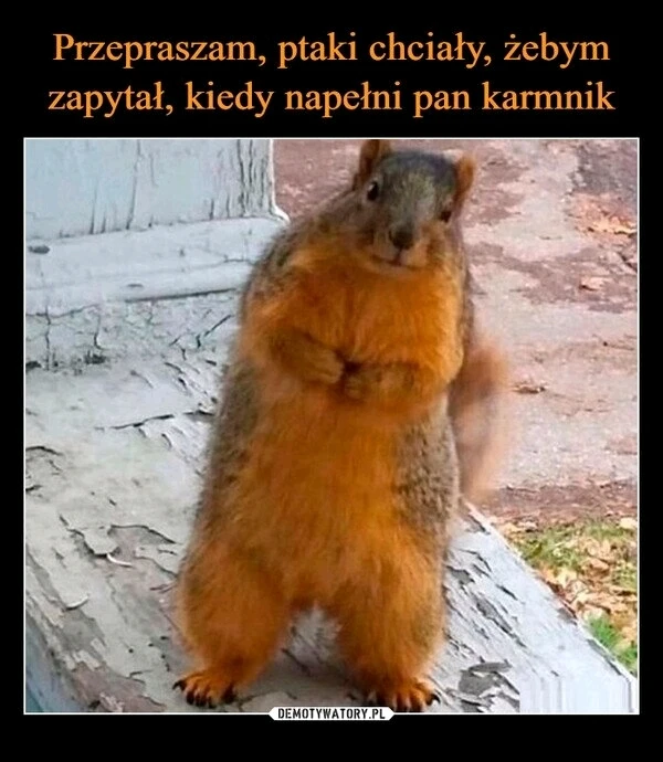 GIF dodany przez Paweł Piotr Zabłocki