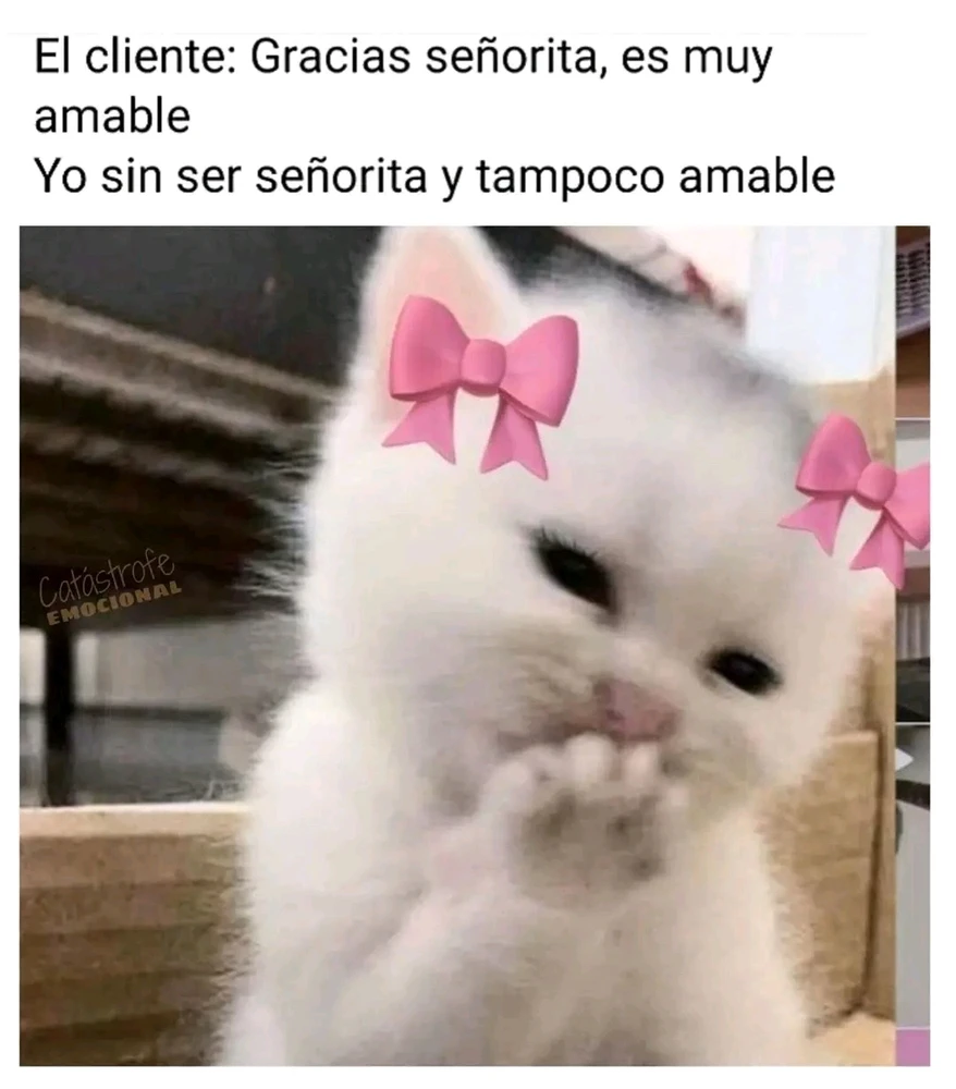 GIF subido por ❤ Sophia aka Mango Mami ❤️