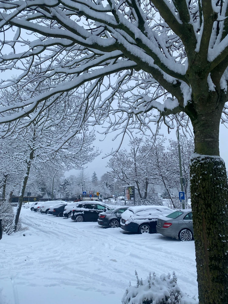 GIF uploaded by Mozhdeh