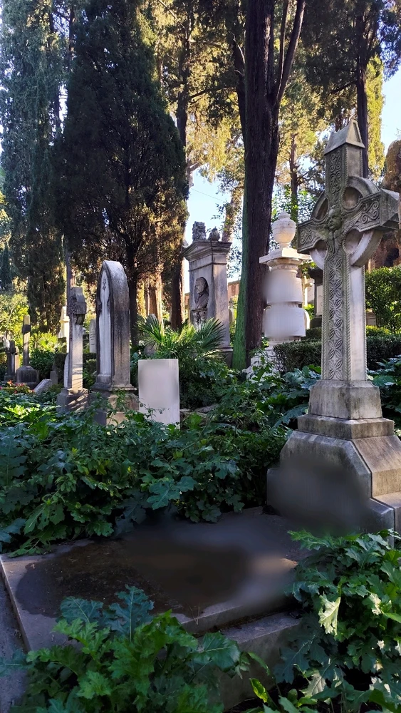 Immagine caricata da Sabri