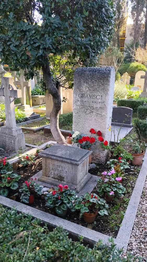 Immagine caricata da Sabri